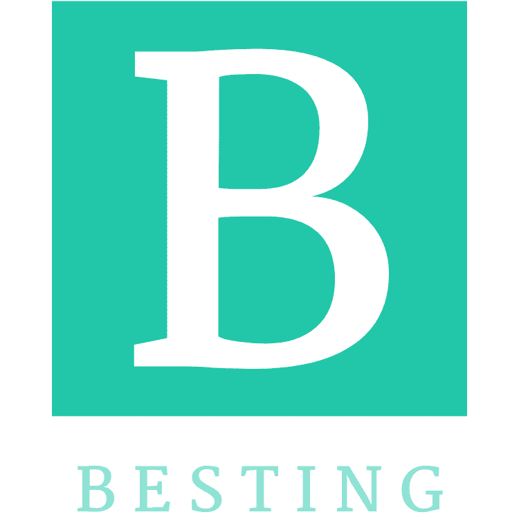 株式会社BESTING